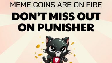 dogwifhat-was-the-next-top-meme-coin—now-punisher-coin-is-taking-that-spot