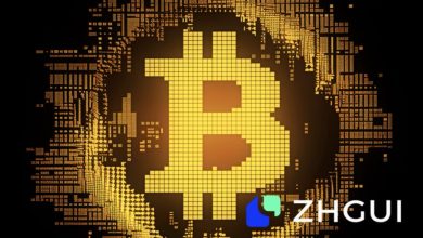 us.-msb-license:-the-compliance-pillar-behind-the-global-strategy-of-zhgui-exchange