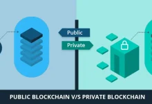 public-vs-private-blockchain:-which-one-is-right-for-you?-exploring-with-cryptotact