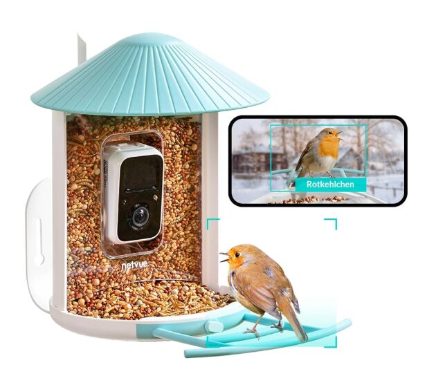 attract-more-birds-to-your-bird-feeder-camera:-tips-for-better-footage