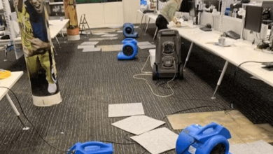 how-do-professional-water-damage-restoration-services-help-businesses-save-time-and-money?