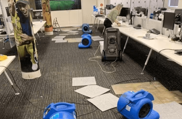 how-do-professional-water-damage-restoration-services-help-businesses-save-time-and-money?